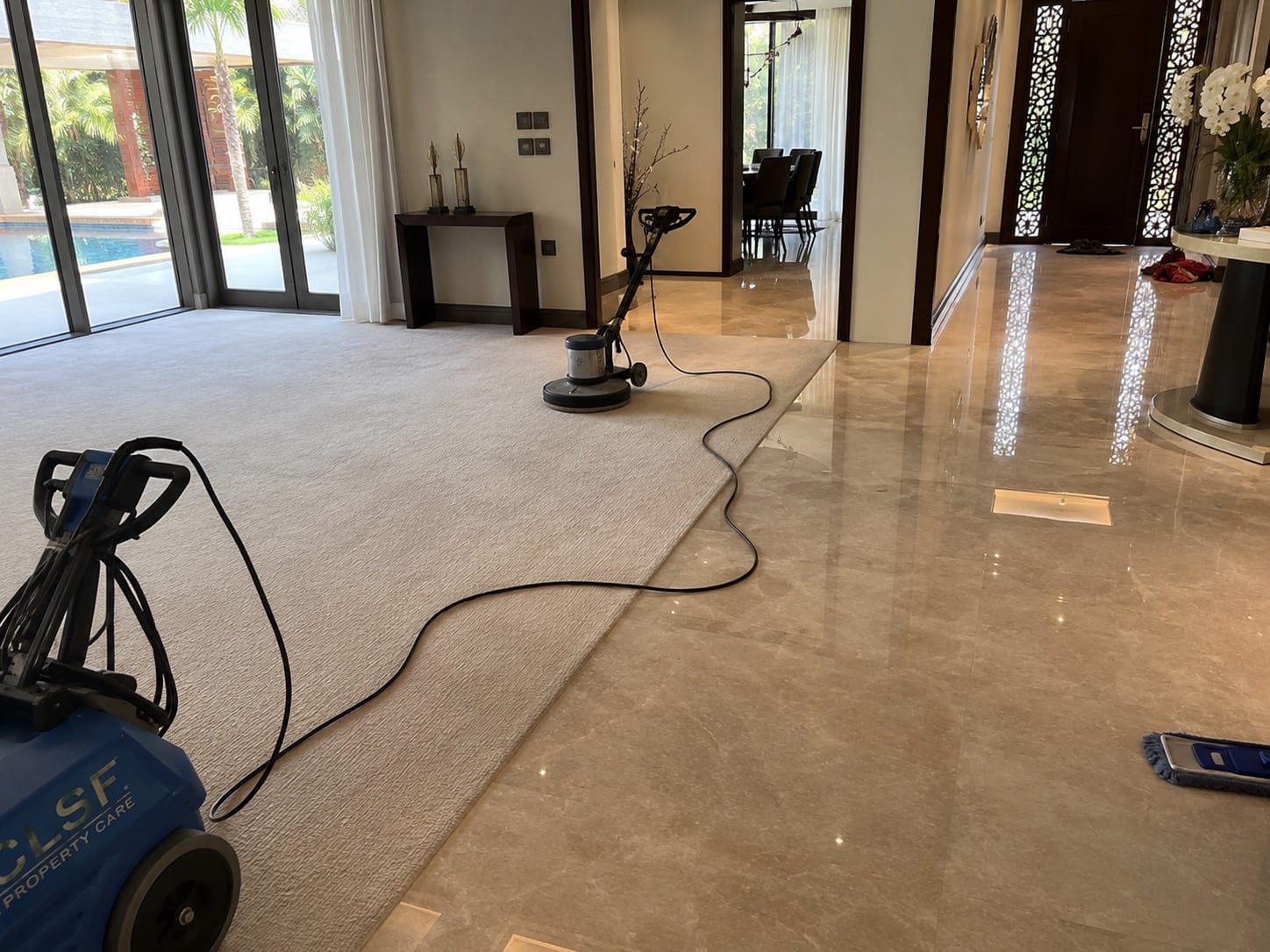 CLSF deep floor and carpet cleaning service